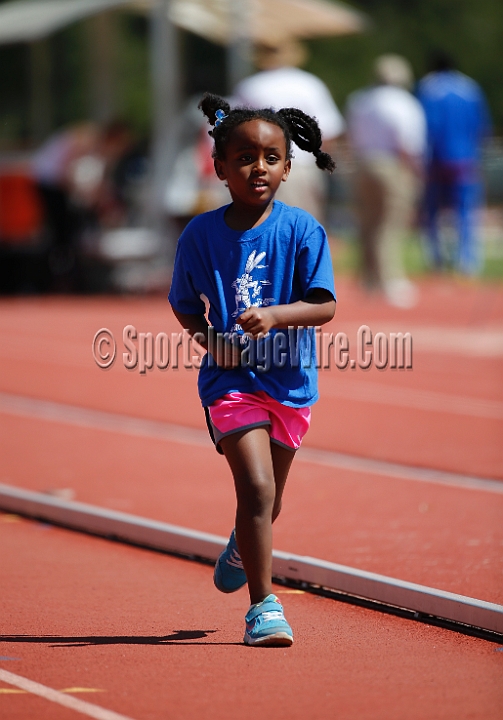 2016HalfLap-004.JPG - Apr 1-2, 2016; Stanford, CA, USA; the Stanford Track and Field Invitational.